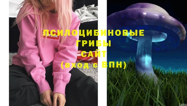 не бодяженный Осташков